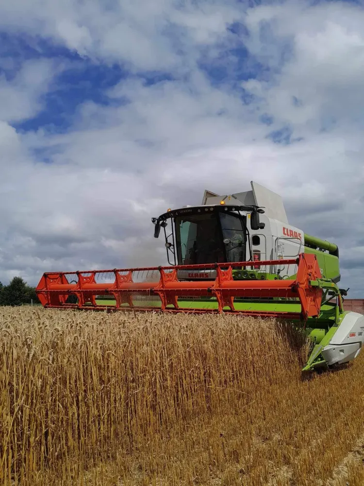 travaux agricoles champs de bléwebp
