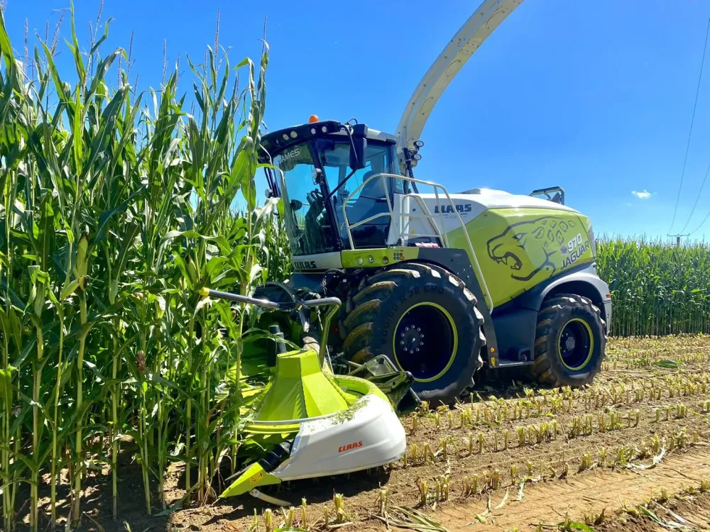 Moisson à Grandparigny